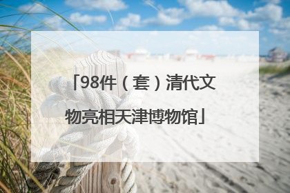 98件（套）清代文物亮相天津博物馆