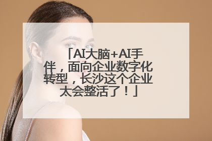 AI大脑+AI手伴，面向企业数字化转型，长沙这个企业太会整活了！