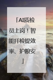 AI质检员上岗！智能扦检提效率、护粮安