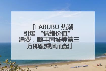 LABUBU 热潮引爆 “情绪价值” 消费，顺丰同城等第三方即配乘风而起
